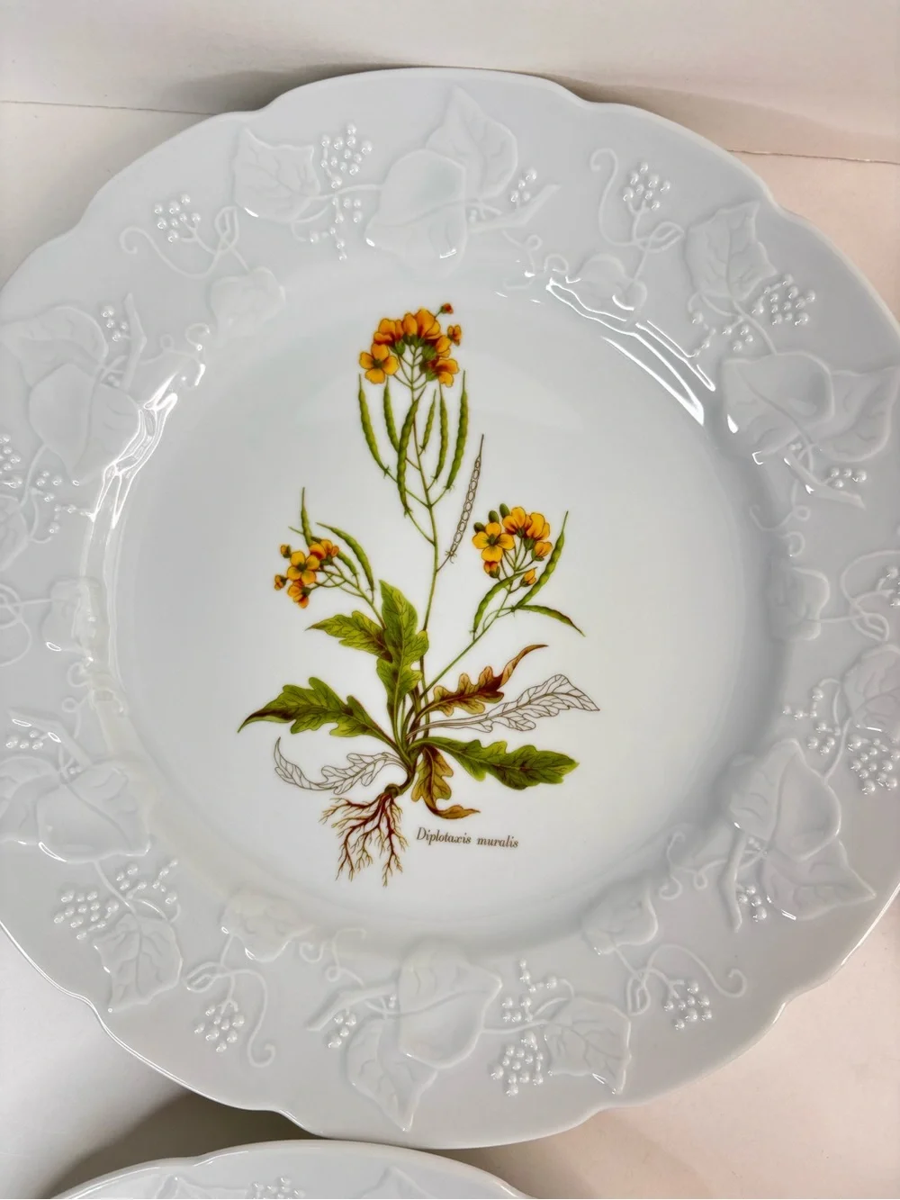 Dansk Ivy Embossed White Porcelain Flower Botanical Luncheon Plates France Set 4